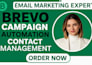optimize brevo email campaigns automation contact management