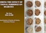 create thesis defence powerpoint presentation
