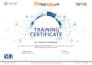 manage meta google ads for shopify ecommerce sales