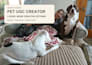 create high converting pet ugc video ads for your product