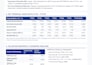 create a professional equity research report with valuation