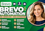 setup advanced brevo automation workflows for your business