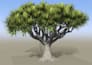 create realistic 3d plants and trees