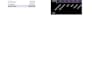 fix excel formulas vlookup xlookup and clean your data