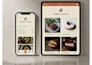 design a modern restaurant logo and food brand identity