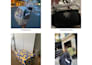 be your personal assistant in paris for shopping, pickups