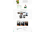 design and develop a modern responsive wordpress website