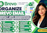 organize brevo email contact lists segmentation subscriber management
