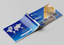design a professional brochure, product catalog
