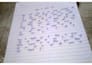 do professional handwriting assignment in hindi and english