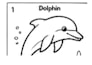 create a fun printable childrens coloring book