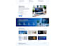 redesign and customize your wordpress business website