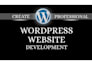 make professional website for your bussiness