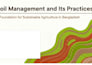 transform complex business and educational ideas into visual presentations