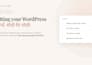 audit your wordpress site and tell you if you should fix it or rebuild it