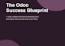 set up, customize or migrate, maintain your odoo erp and ecommerce website