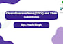 design modern powerpoint and canva presentations