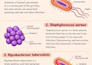 do research writing and summarise
