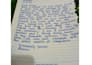 provide beautiful handwritten work