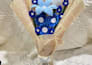 create unique handmade pipe cleaner flowers and bouquets