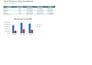 a custom excel spreadsheet with formulas and a dashboard