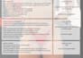design a custom workout plan and personalised nutrition guide