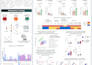 design professional presentations and scientific slides