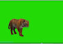 do professional video editing for youtube by camtasia