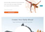 design or redesign a professional wordpress website