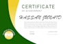 design modern professinal CV or resume