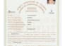do accounting in tally prime, gst, balance sheet work