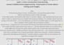 a professional vedic astrology birth chart reading