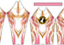 do custom bjj rash guard design and manufacturer