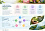 professional powerpoint presentations and pitch decks