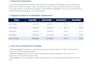 excel data report and data analysis