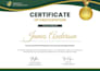 design professional coreldraw graphics and designs