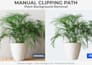 manual clipping path image editing