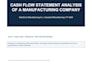 perform financial statement analysis, trends, cash flow and report