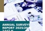 professional report editing, document polishing