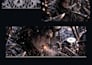 create cinematic webtoon and comic panels from your script