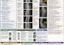 design medical powerpoint presentations for nurses, doctors, clinical educators
