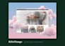 redesign your shopify store or build a custom shopify ecommerce website