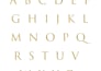 design a custom font or handwriting font for your brand
