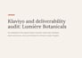 audit your klaviyo account and email deliverability for shopify brands
