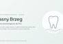 design a sales deck or business proposal presentation