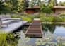 design 3d backyard landscape