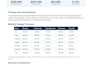 create financial reports, excel analysis and budgeting spreadsheets