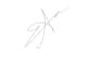 digitize signature and do manual vector tracing