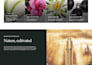 build a b2b shopify wholesale ecommerce store