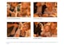 create a personalized animated love story video for couples